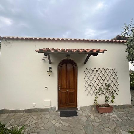 Villa Symphony Sea View Forio di Ischia 外观 照片