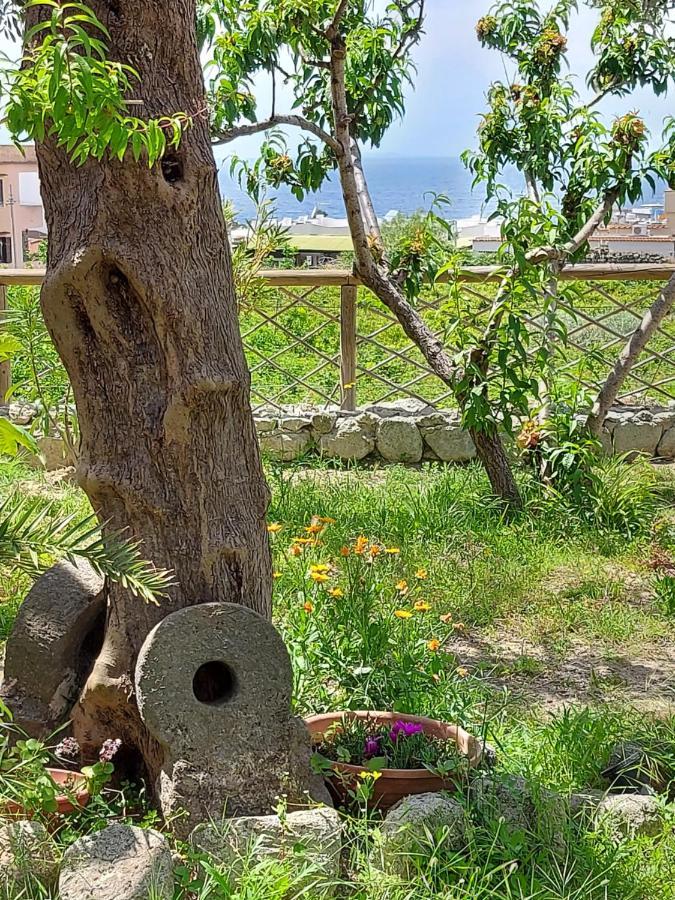 Villa Symphony Sea View Forio di Ischia 外观 照片