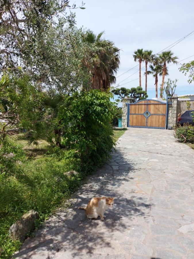 Villa Symphony Sea View Forio di Ischia 外观 照片
