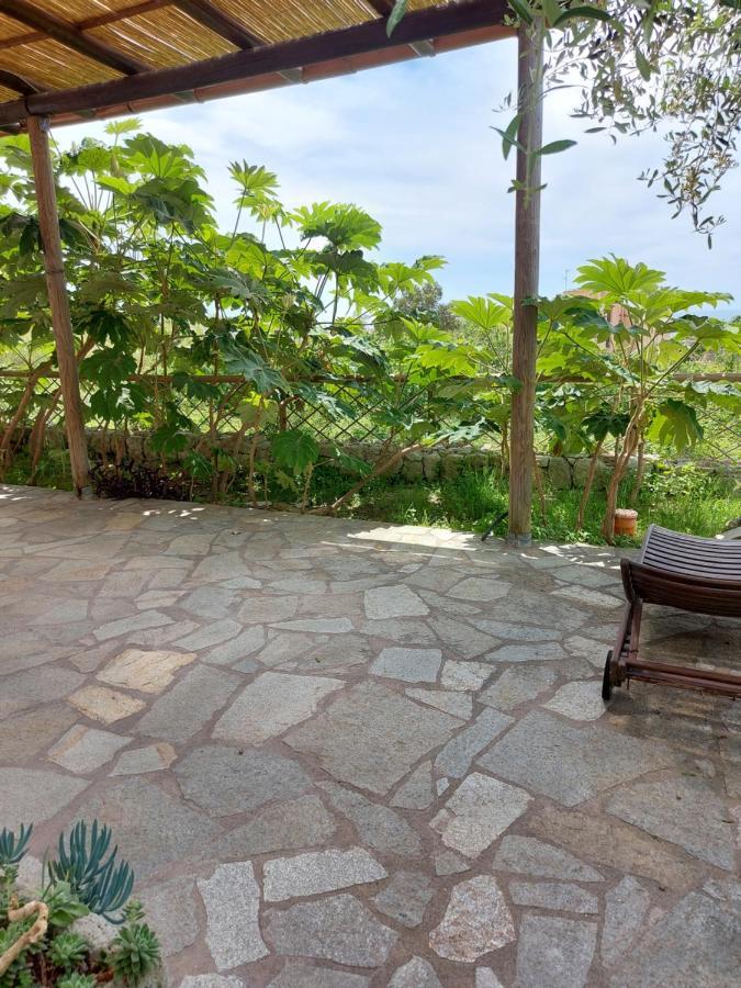 Villa Symphony Sea View Forio di Ischia 外观 照片