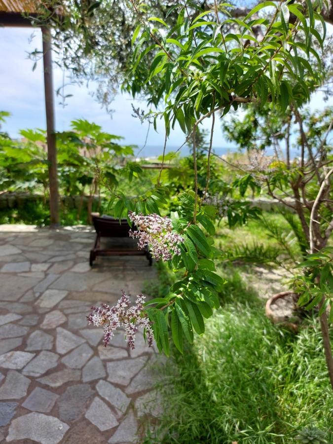 Villa Symphony Sea View Forio di Ischia 外观 照片