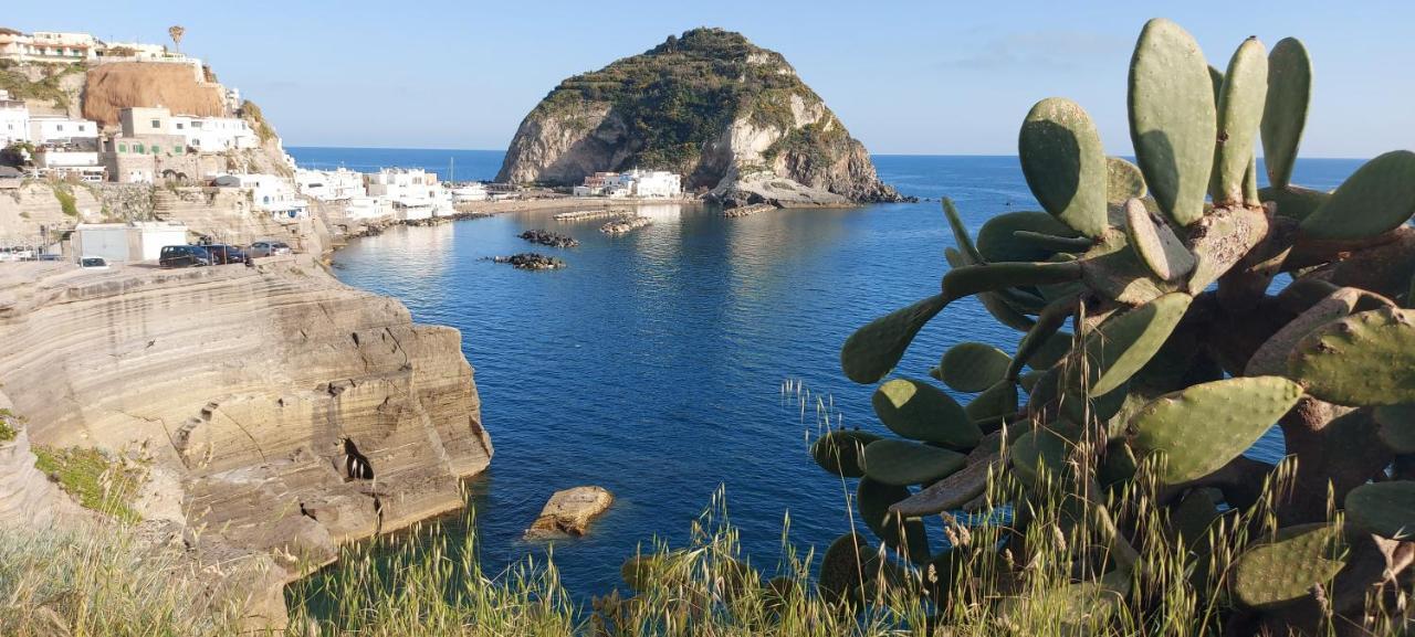 Villa Symphony Sea View Forio di Ischia 外观 照片