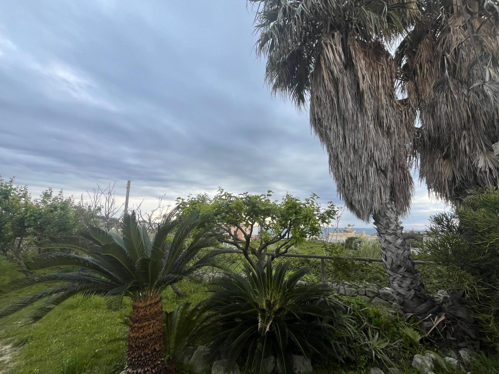 Villa Symphony Sea View Forio di Ischia 外观 照片