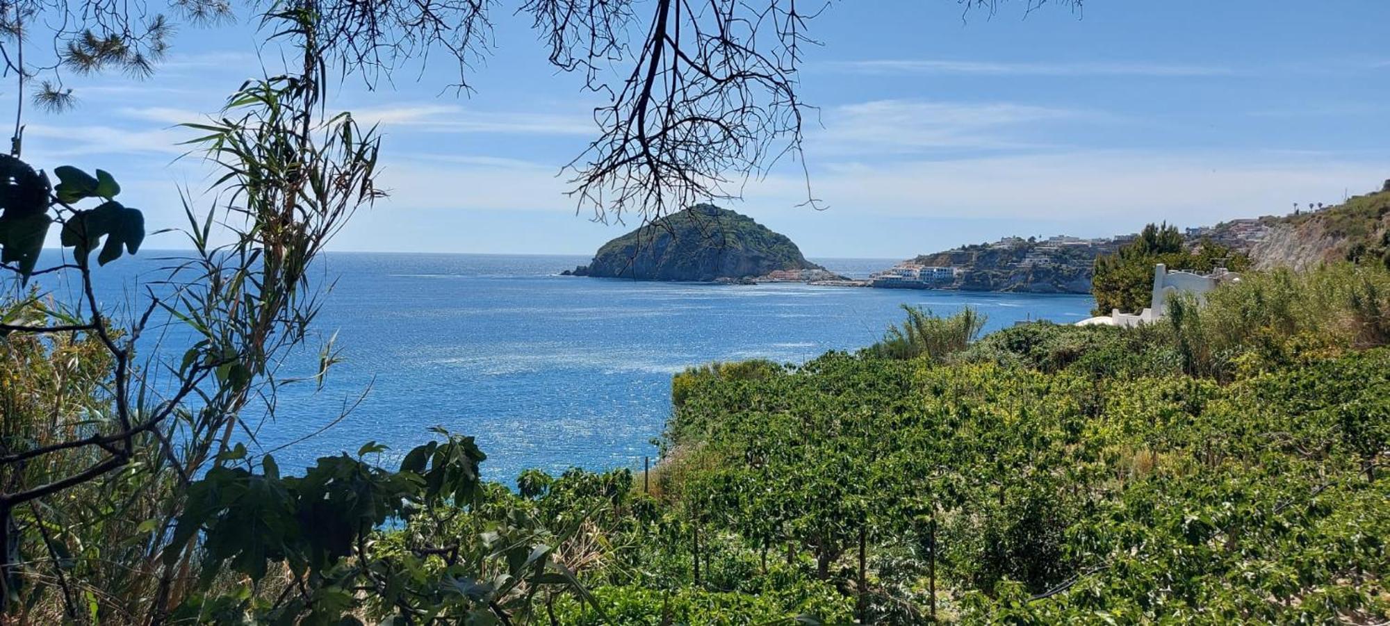 Villa Symphony Sea View Forio di Ischia 外观 照片