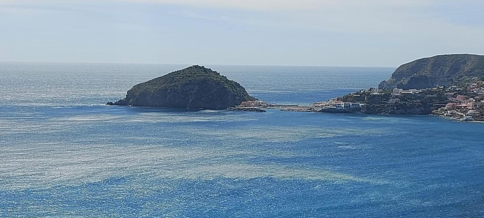Villa Symphony Sea View Forio di Ischia 外观 照片