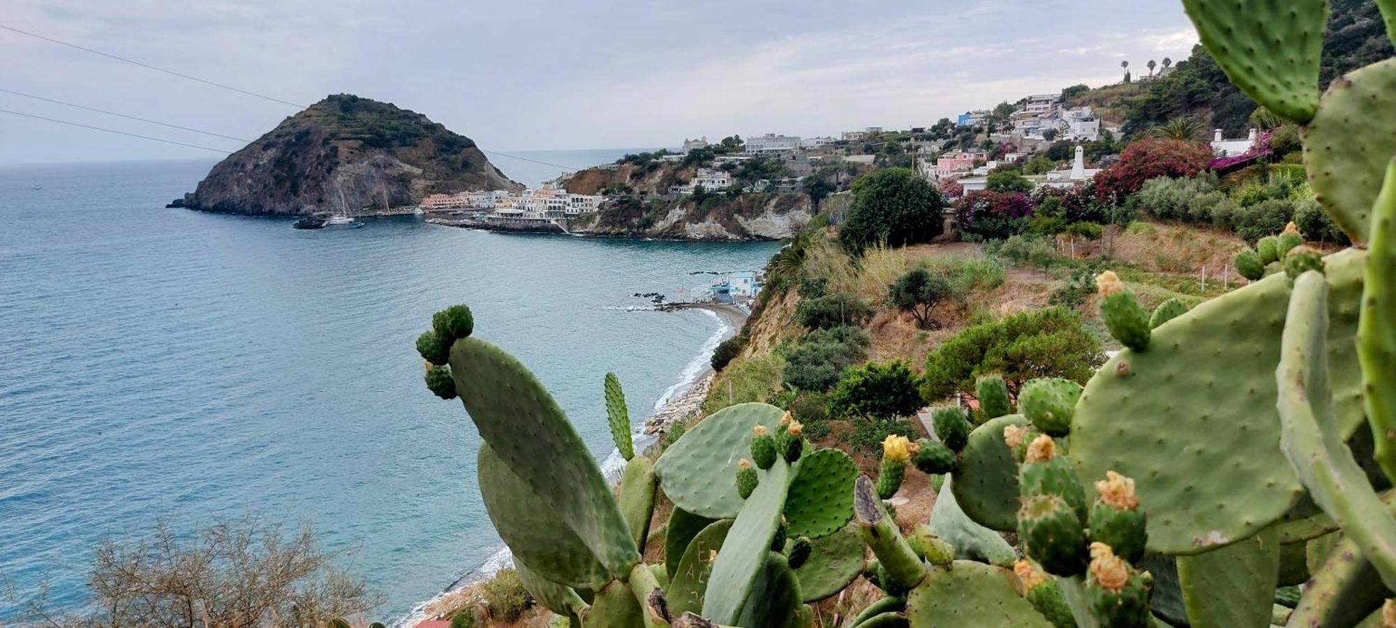 Villa Symphony Sea View Forio di Ischia 外观 照片